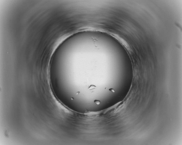 X0000096201247200802011252