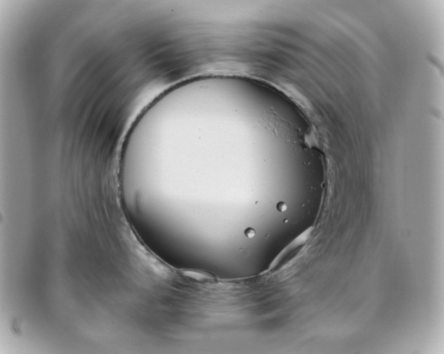 X0000096201248200802011252