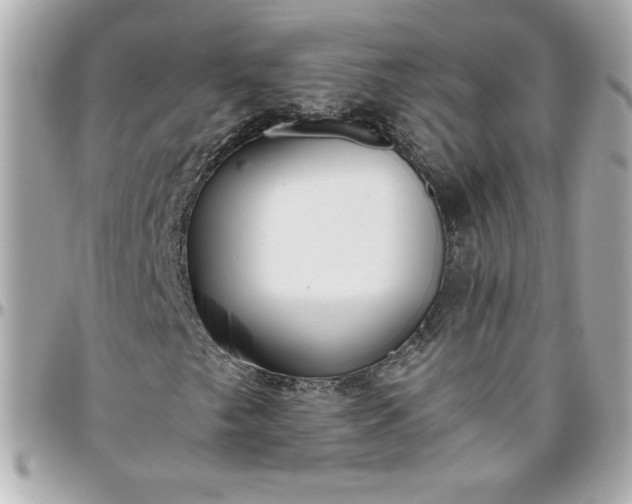 X0000096201249200802011252