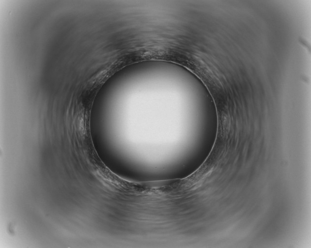 X0000096201250200802011252