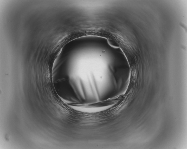 X0000096201252200802011252