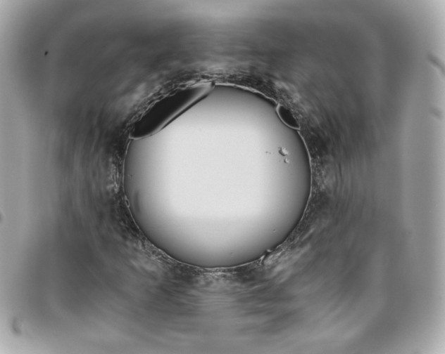 X0000096201253200802011252