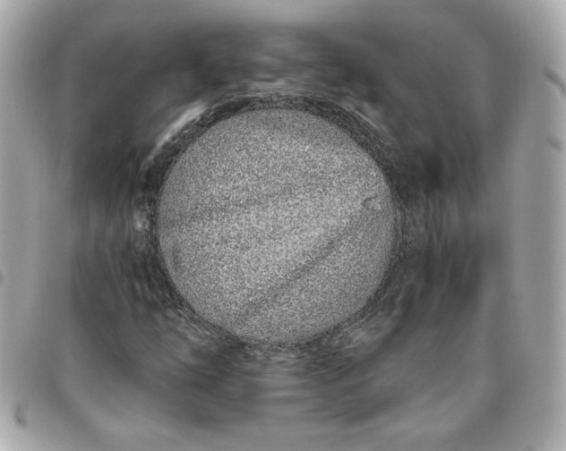 X0000096201254200802011252