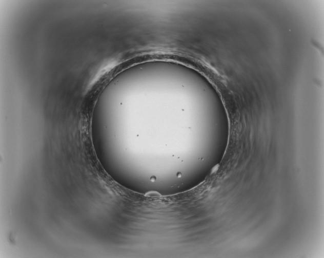 X0000096201255200802011252