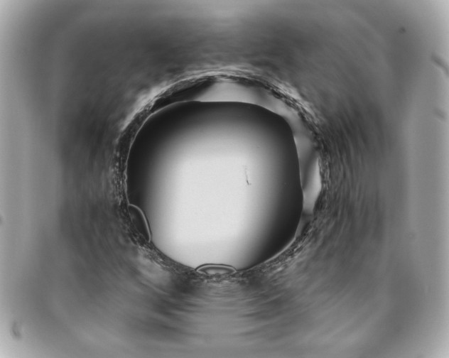 X0000096201256200802011252