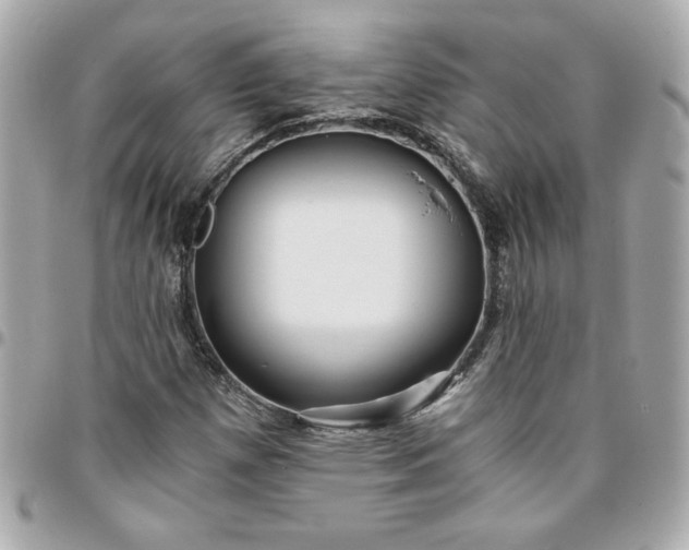 X0000096201257200802011252