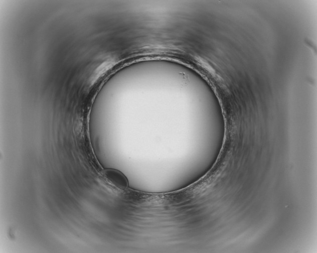 X0000096201259200802011252