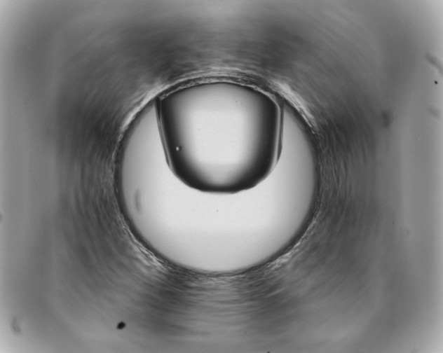 X0000096201260200802011252