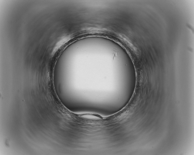 X0000096201261200802011252