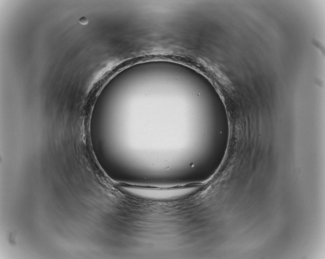 X0000096201262200802011252