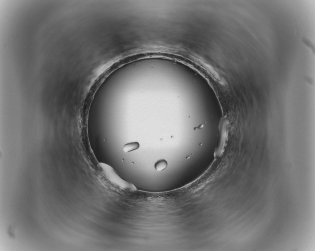 X0000096201264200802011252