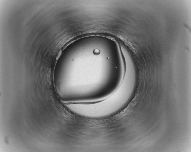 X0000096201265200802011252