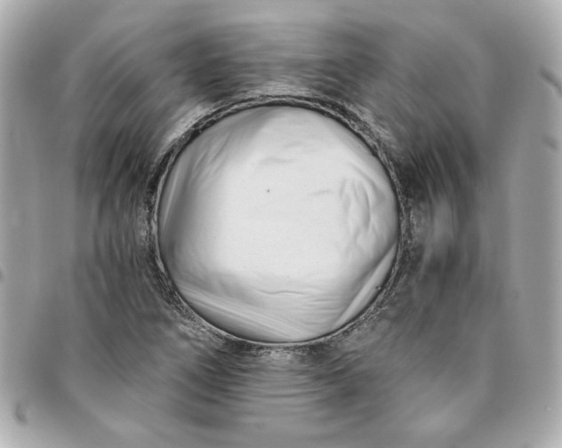 X0000096201266200802011252