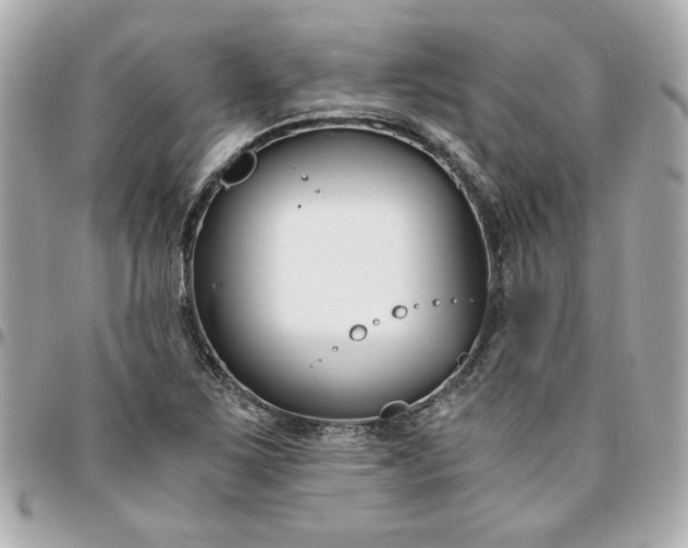 X0000096201267200802011252