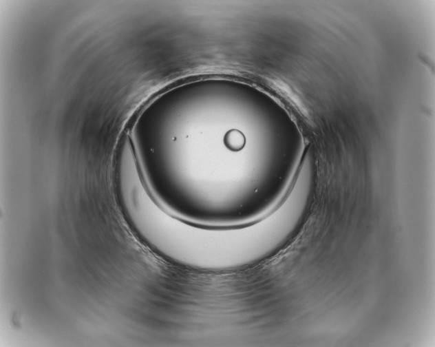 X0000096201268200802011252