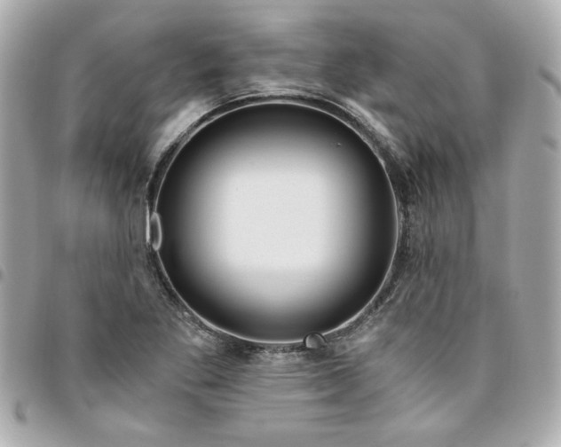 X0000096201269200802011252