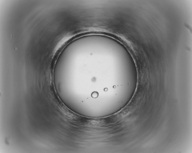 X0000096201271200802011252