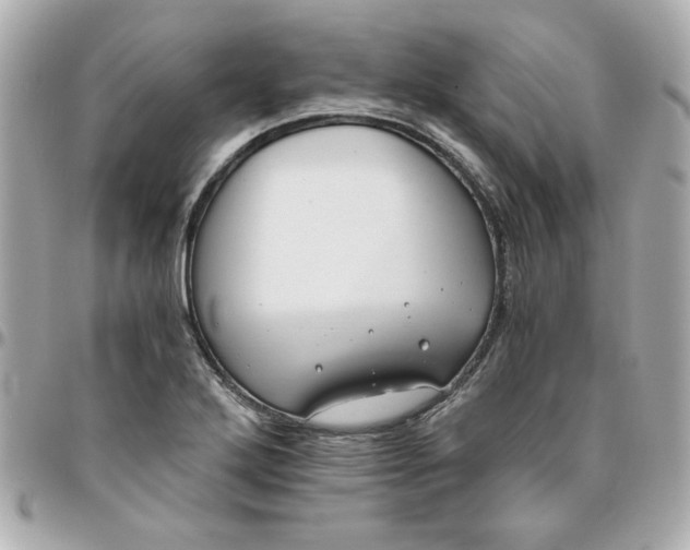 X0000096201272200802011252