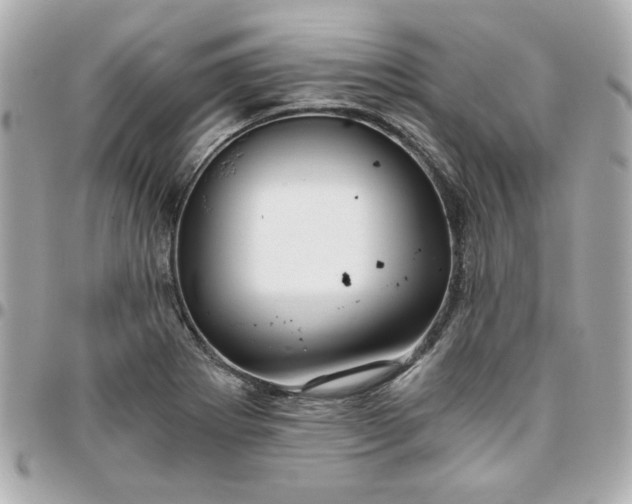 X0000096201273200802011252