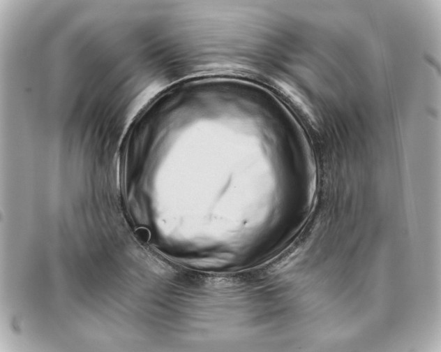 X0000096201275200802011251