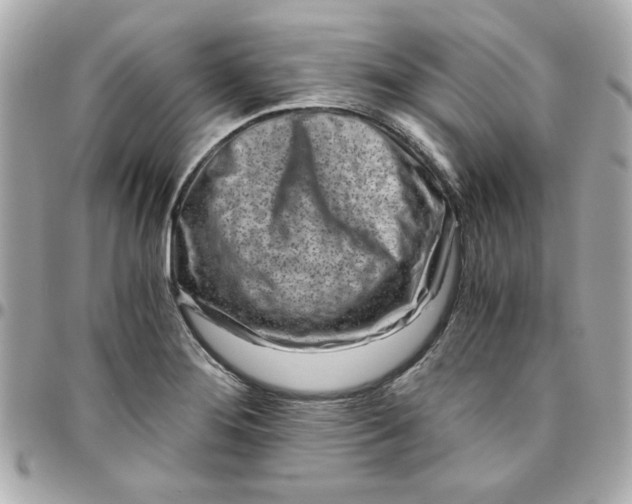 X0000096201276200802011251