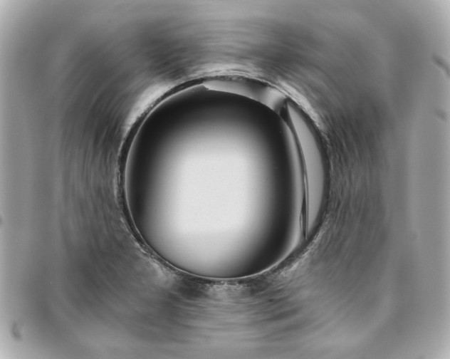 X0000096201277200802011251