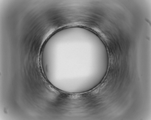 X0000096201278200802011251