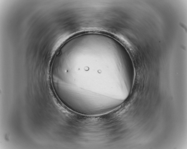 X0000096201279200802011251