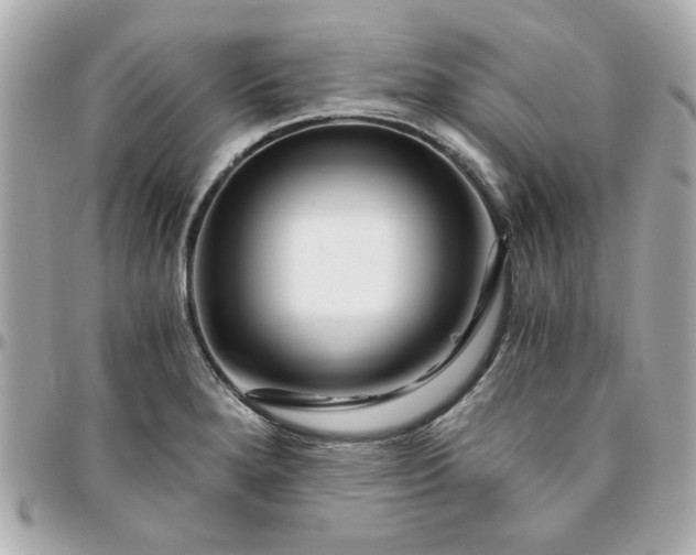 X0000096201280200802011251