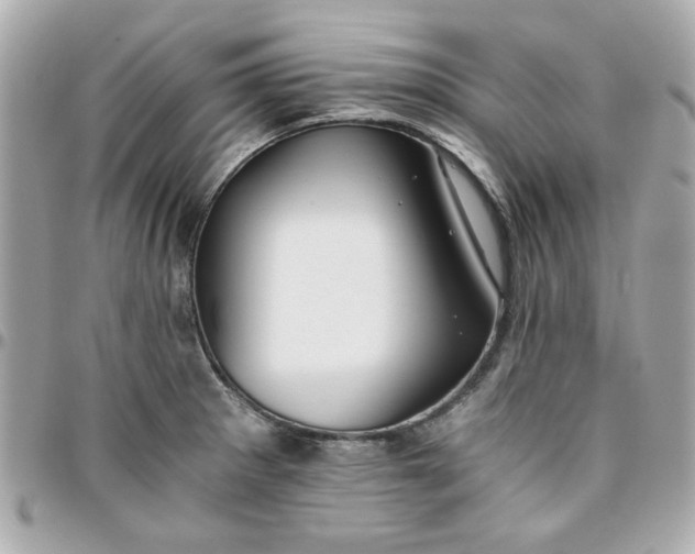 X0000096201281200802011251