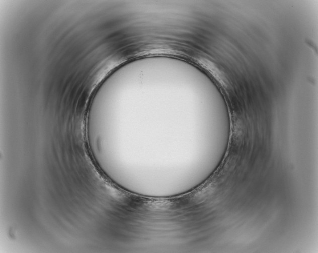 X0000096201282200802011251