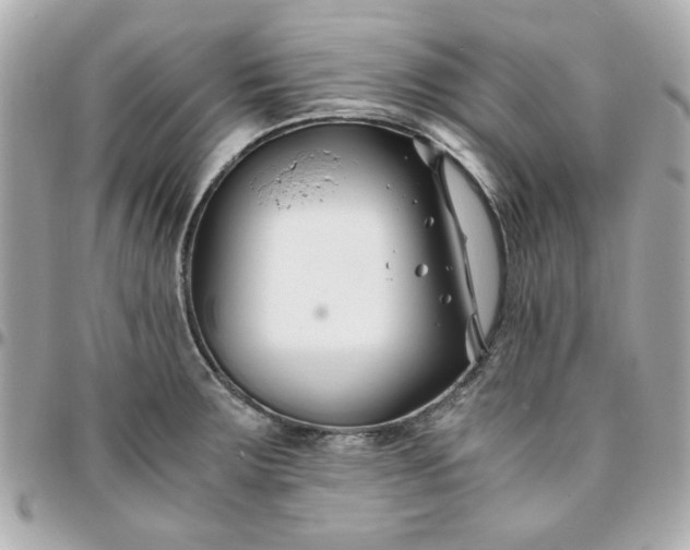 X0000096201283200802011251