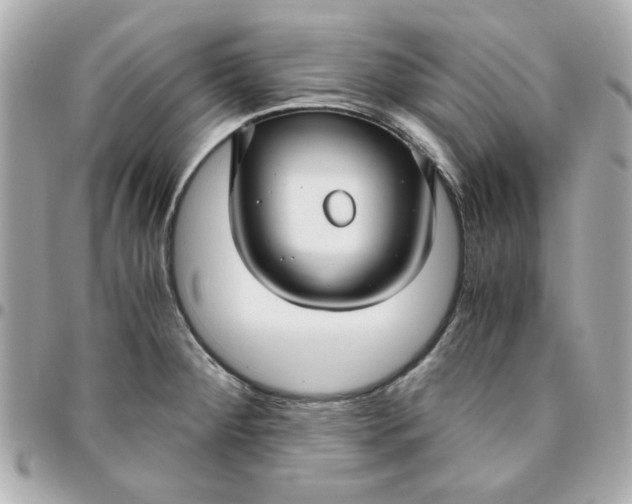 X0000096201284200802011251