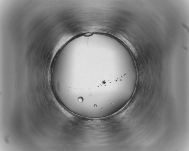 X0000096201285200802011251