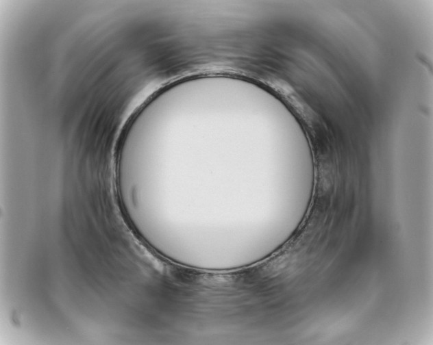 X0000096201286200802011251