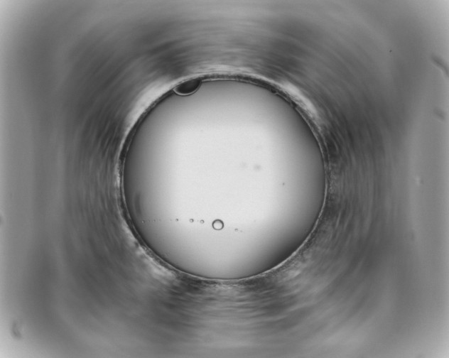 X0000096201287200802011251