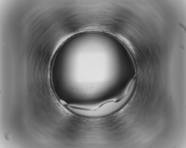 X0000096201288200802011251