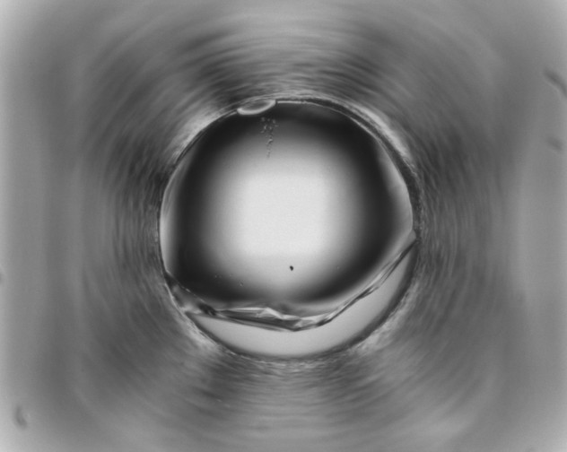 X0000096201289200802011251