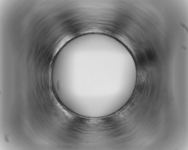 X0000096201290200802011251