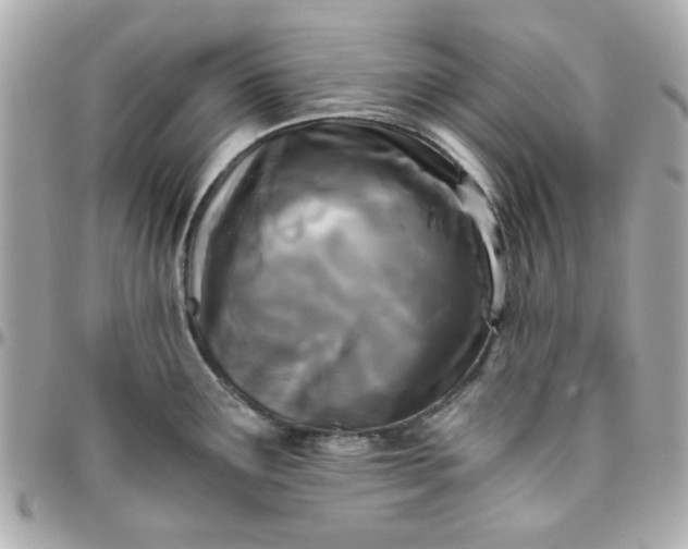 X0000096201291200802011251