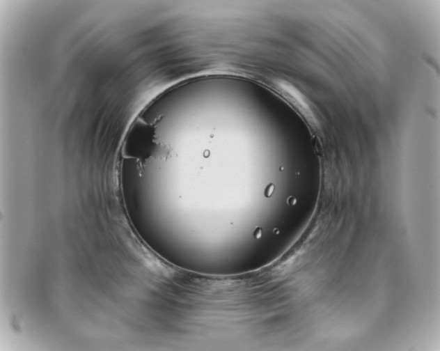 X0000096201292200802011251