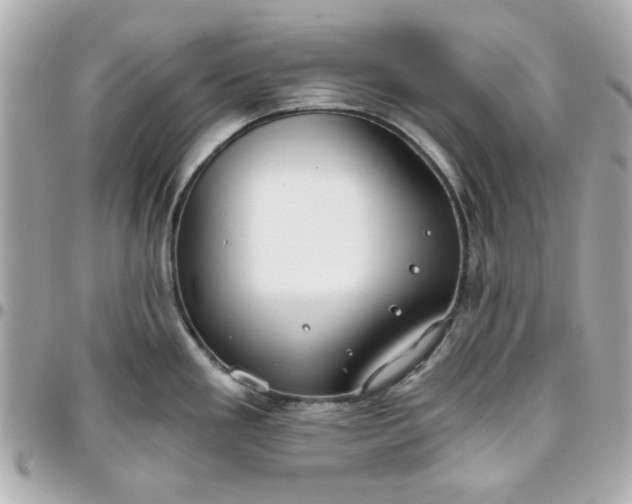 X0000096201293200802011251