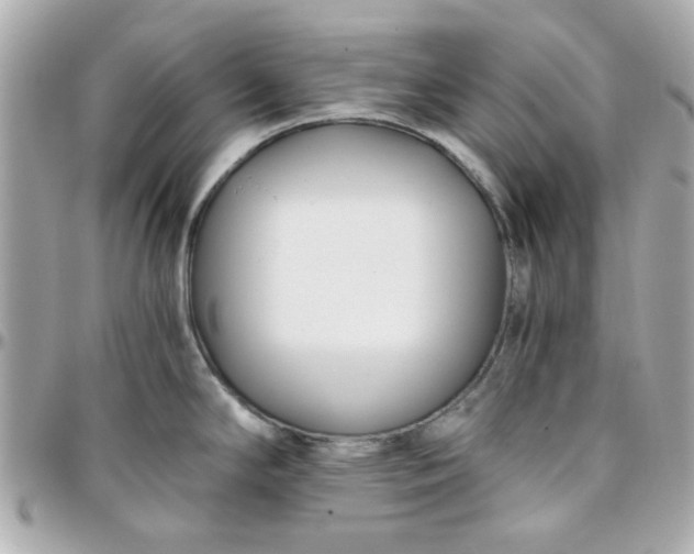 X0000096201294200802011251