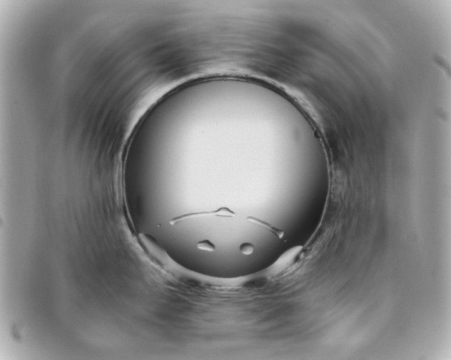 X0000096201295200802011251