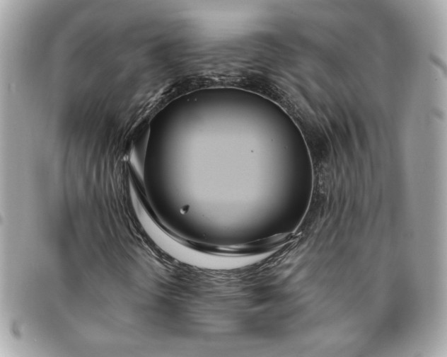 X0000096201298200802011250