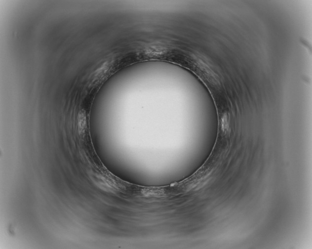 X0000096201299200802011250