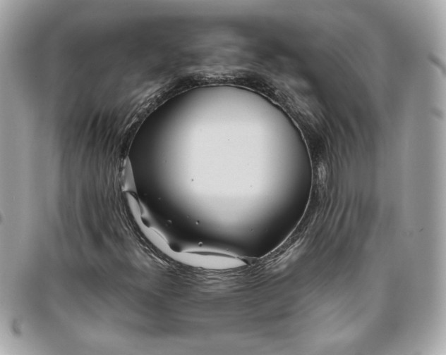 X0000096201300200802011250