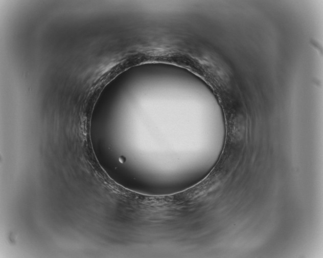 X0000096201301200802011250