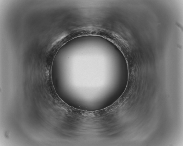 X0000096201302200802011250