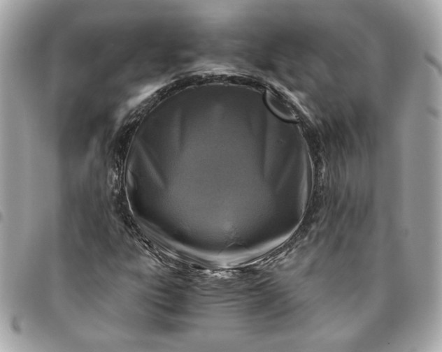 X0000096201303200802011250